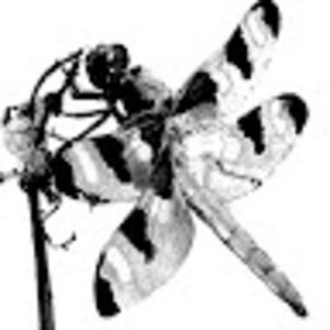 Meet your Posher, Ruud